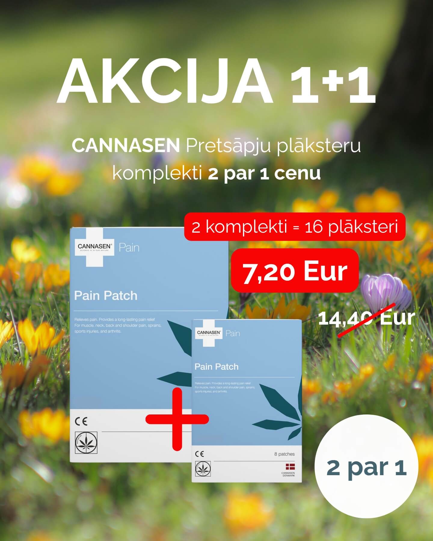 Pretsapju plaksteris